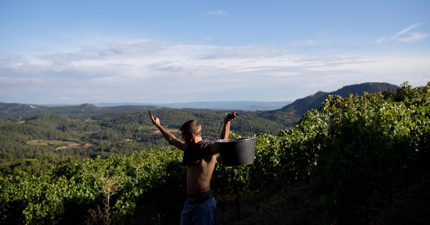 Domaine Saint Amant