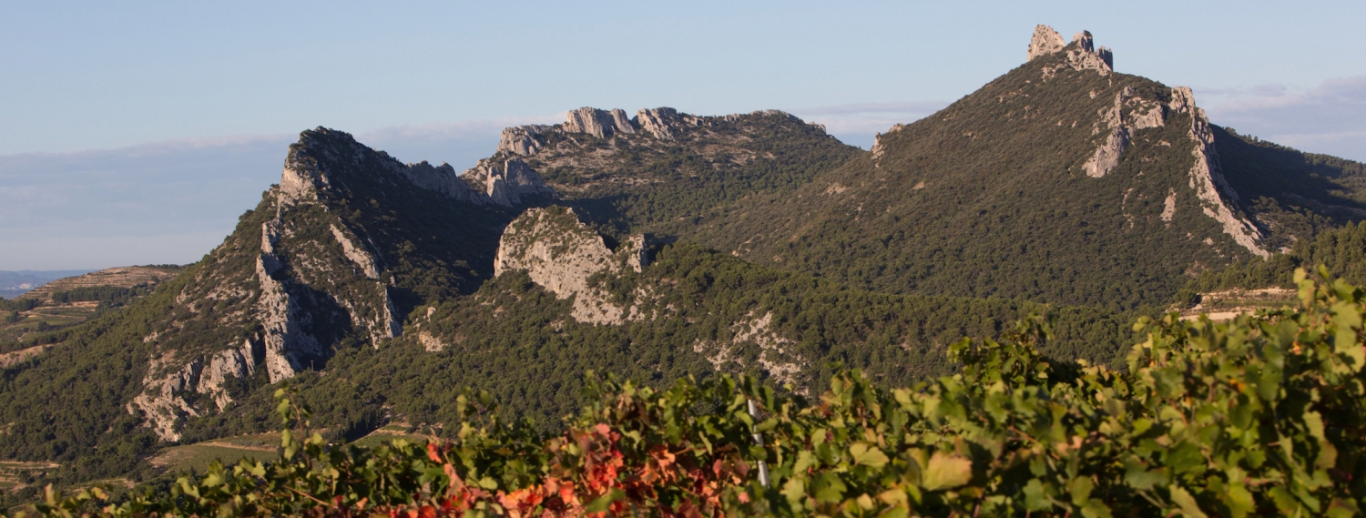 The Domain Domaine Saint Amant